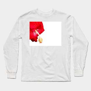 Red hibiscus flower on white. Long Sleeve T-Shirt